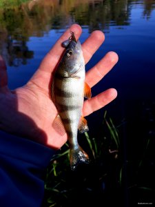 20201007_102233.jpg
