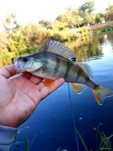 20201007_102211.jpg