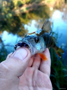 20201007_102147.jpg