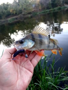 20201007_102105.jpg