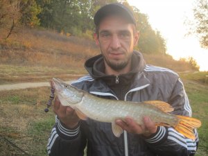 IMG_3670.JPG