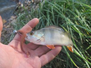 IMG_3691.JPG