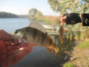 IMG_3699.JPG