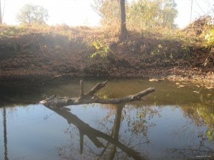 IMG_3712.JPG