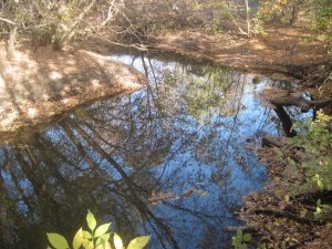 IMG_3714.JPG