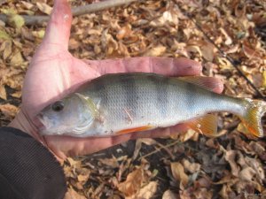 IMG_3720.JPG