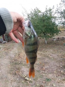 20201010_142330.jpg
