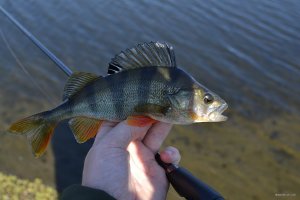 DSC_0077.jpg
