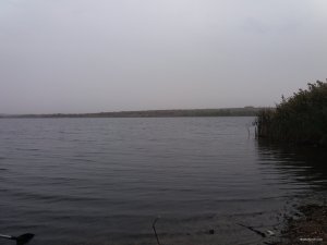20201011_114446.jpg