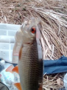 IMG_20201011_150624.jpg
