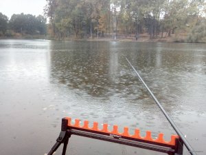 IMG_20201011_161437.jpg