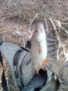 IMG_20201011_133055.jpg