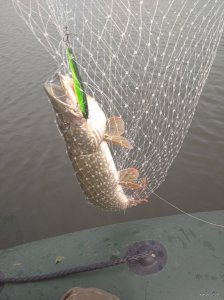 IMG_20201011_115038_1.jpg