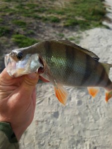 20201010_092839[1].jpg