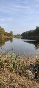 IMG_20201013_110900.jpg