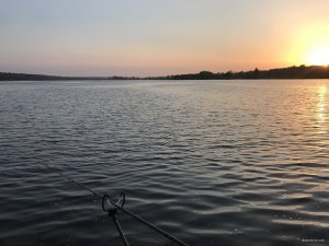5950A995-7DEB-49B0-A02B-9FBE4C12DEE1.jpeg
