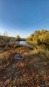 20201007_165539.jpg