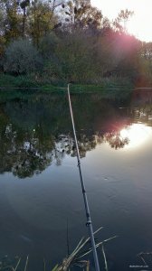 20201008_082022.jpg