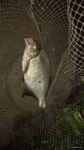 20201007_214558.jpg