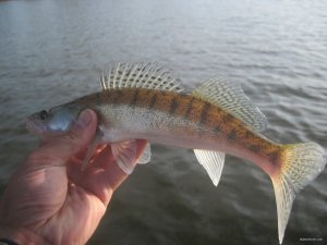 IMG_3749.JPG