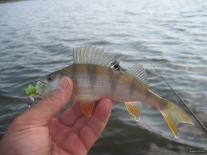 IMG_3752.JPG