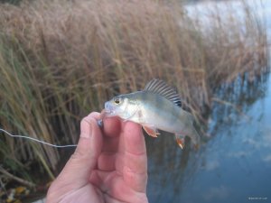 IMG_3753.JPG