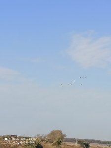 IMG_20201014_103455.jpg