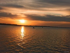 IMG_20201011_230427.jpg