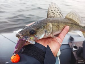 IMG_20201011_230553.jpg