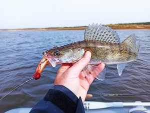 IMG_20201011_230606.jpg