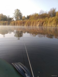 IMG_20201015_081635.jpg
