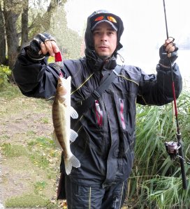 IMG_20201016_183859.jpg