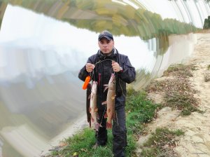 IMG_20201016_182442.jpg
