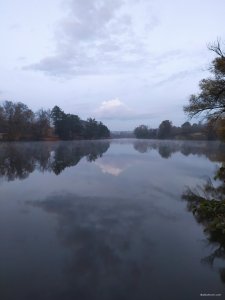 IMG_20201016_064810.jpg