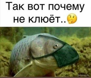 D8F4D497-EA78-42E9-ACE8-F2FE9CEBB033.jpeg