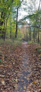 IMG_20201020_155002.jpg