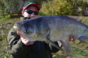 DSC_0292.jpg