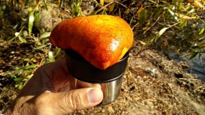 IMG_20201020_115820.jpg