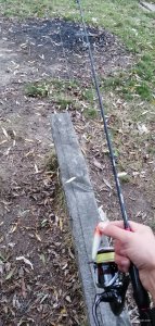 IMG_20201021_171753.jpg