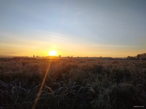 IMG_20201021_072654.jpg