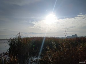 IMG_20201021_093954.jpg