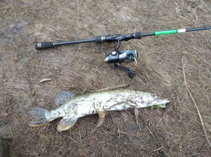 IMG_20201024_074857_1.jpg