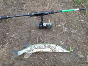 IMG_20201024_084107_1.jpg