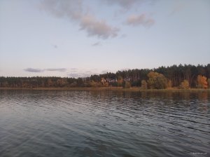 IMG_20201025_153106.jpg
