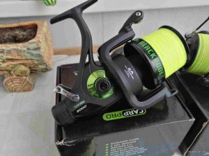 IMG_20201026_112824.jpg