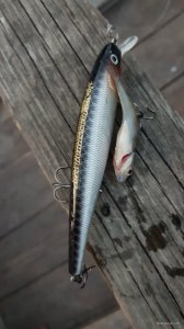 20201027_163731.jpg