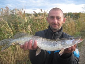 IMG_4035.JPG