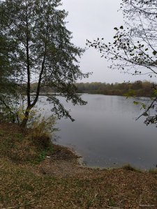 IMG_20201024_113729.jpg