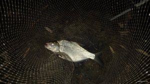 20201028_230959.jpg