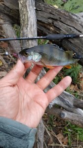 IMG_20201029_132436.jpg